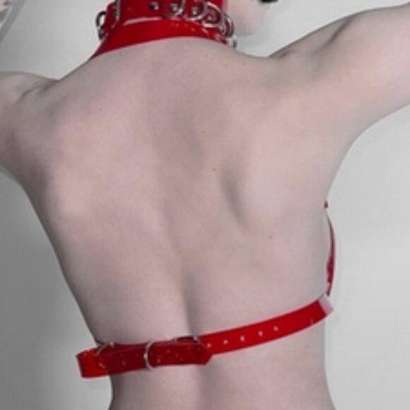 NWOT! Jivomir Domoustchiev 2 Piece  (Bra + Choker) Set Size S - Picture 6 of 6